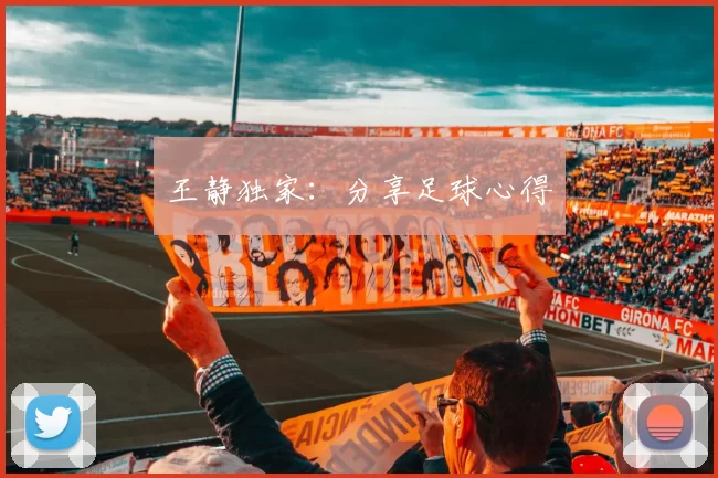 王静独家：分享足球心得