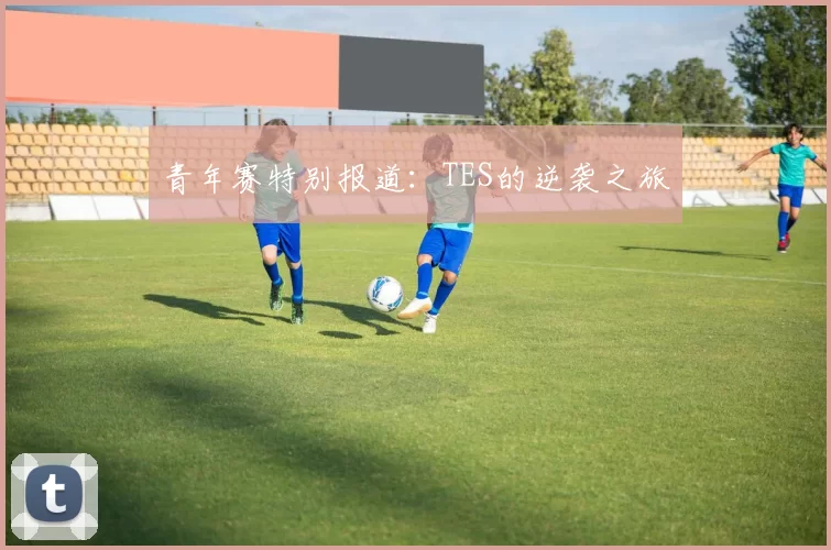 青年赛特别报道：TES的逆袭之旅